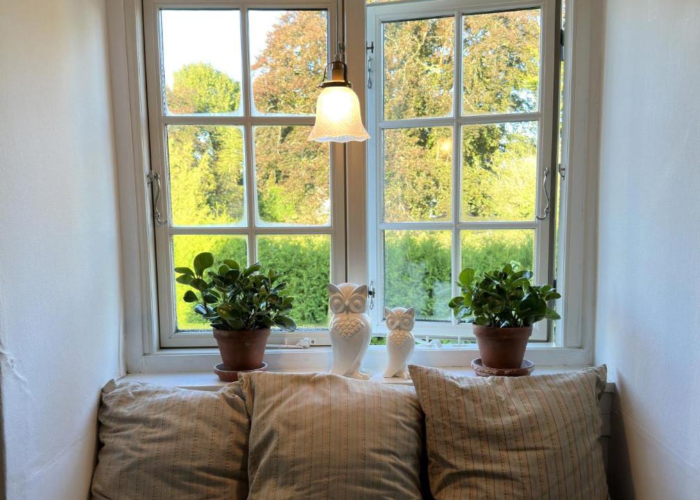 Photo of Others in Faxe