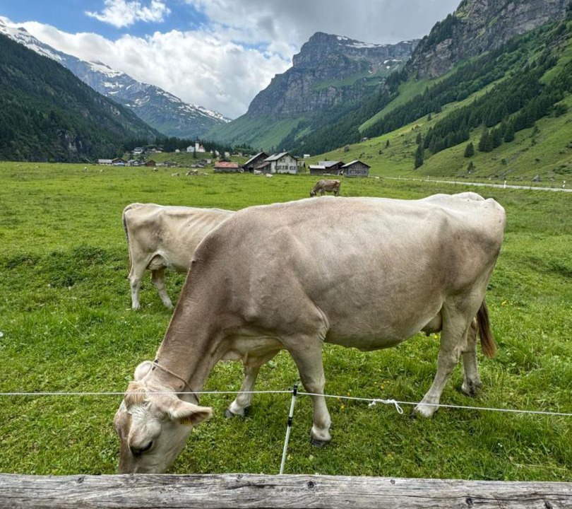 Photo of Others in Urnerboden