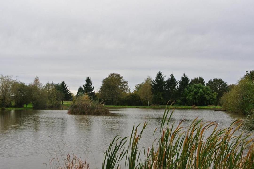 Photo of Others in Molles