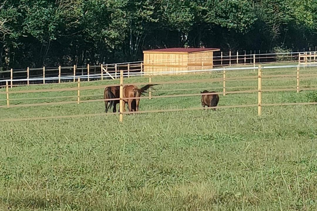 Photo of Others in Molles