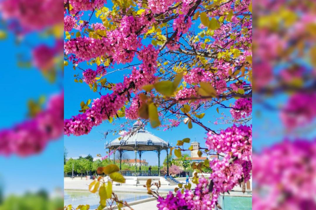 Photo of Others in Faubourg Saint-Jacques