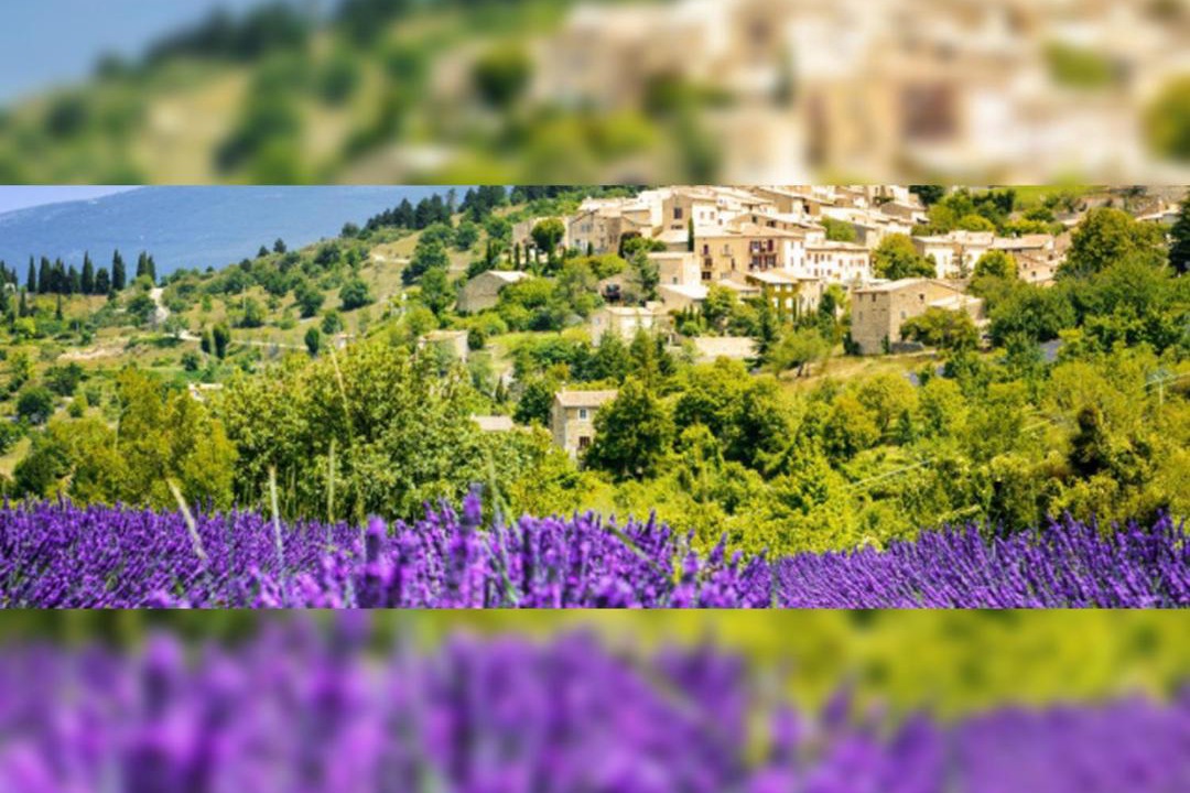 Photo of Others in Faubourg Saint-Jacques