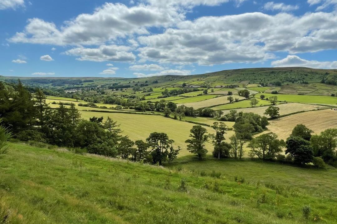 Photo of Others in Danby