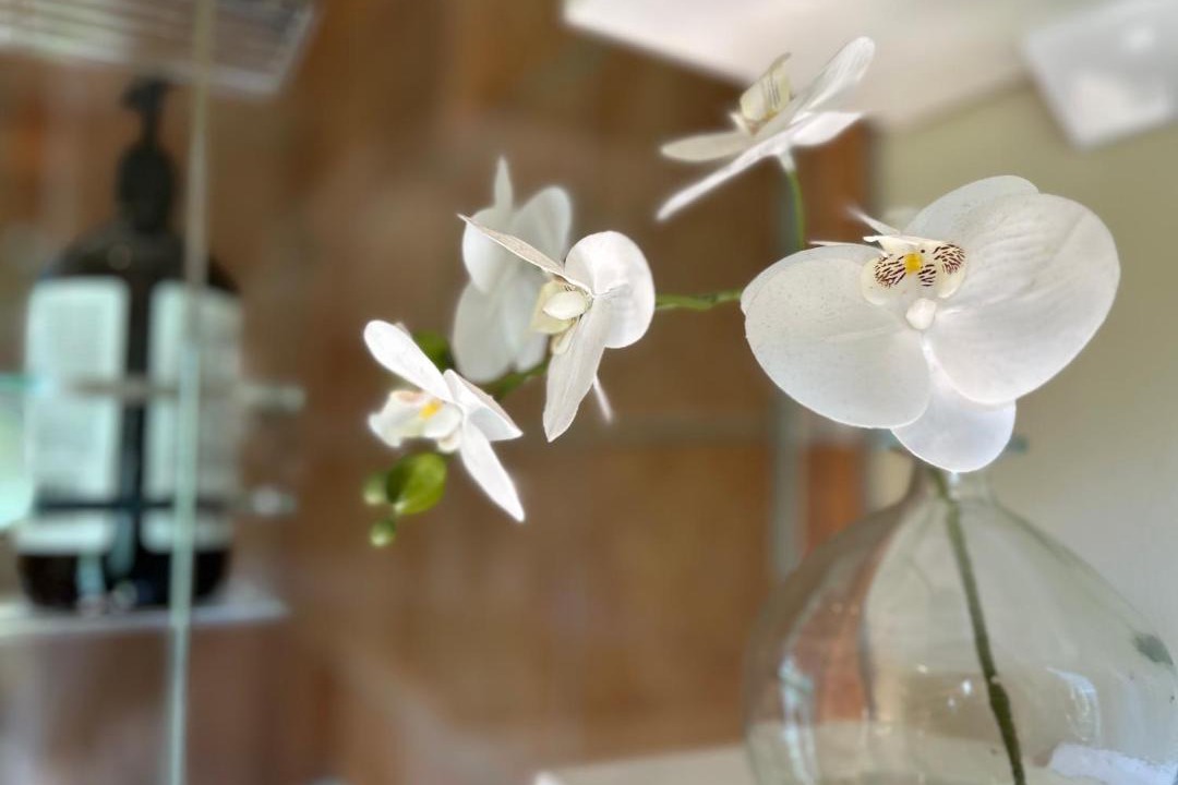 Photo of Others in Arthur's Point