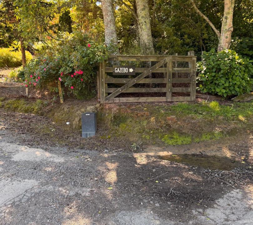 Photo of Others in Wellington