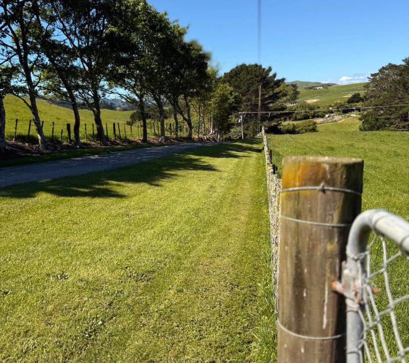 Photo of Others in Wellington