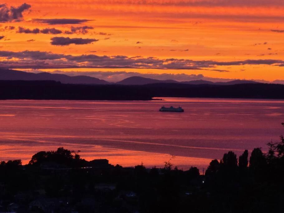 Photo of Others in Alki