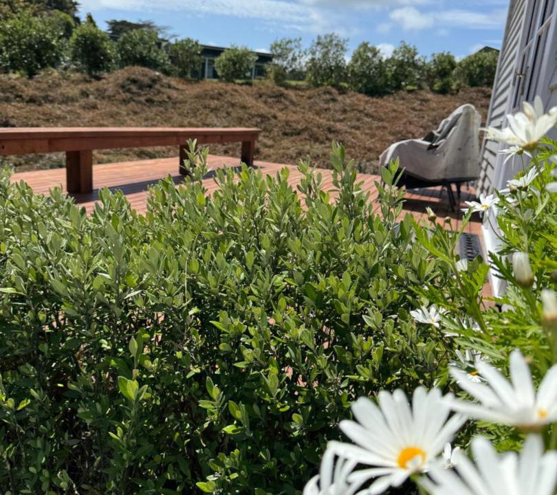 Photo of Others in Wellington