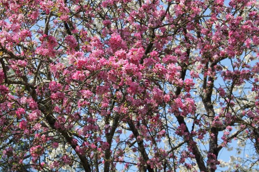 Photo of Outdoor in Saint-Philbert-du-Peuple