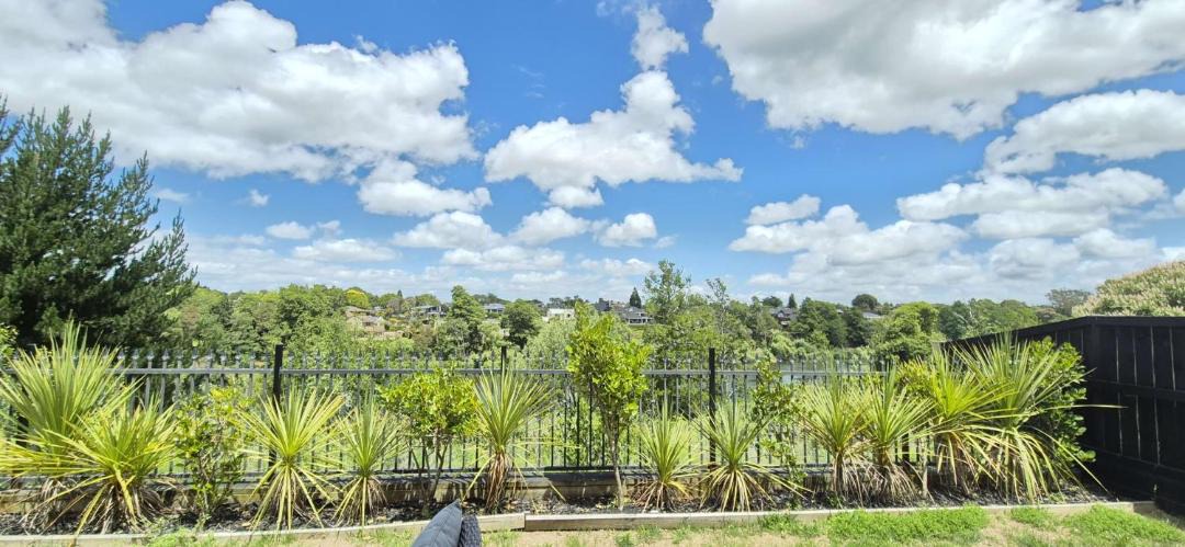 Photo of Others in Hamilton