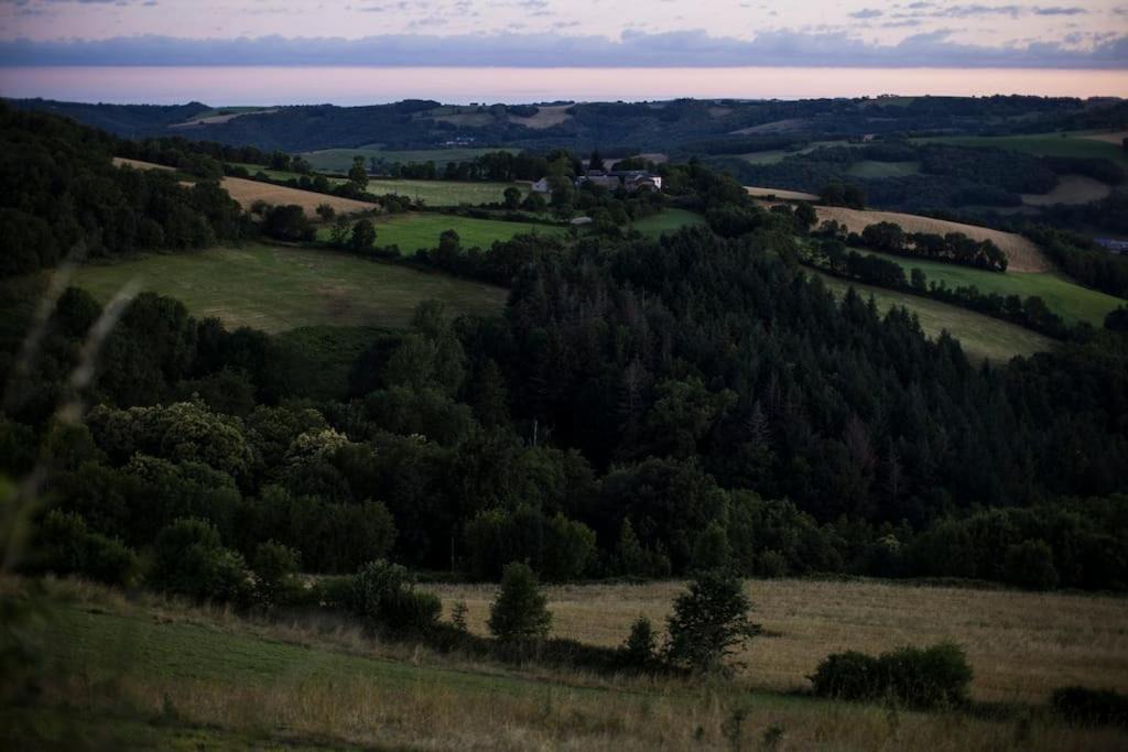 Photo of Others in Martin