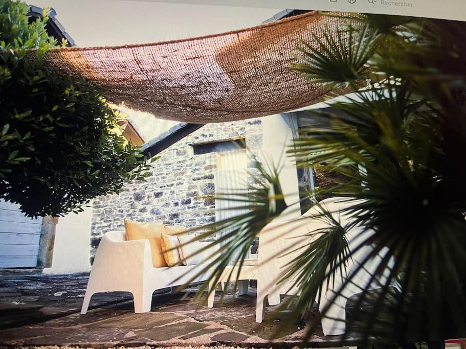 Photo of Others in Martin