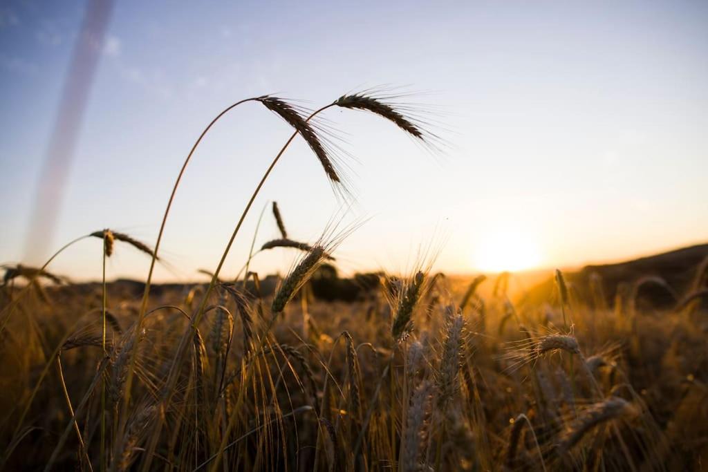 Photo of Others in Martin