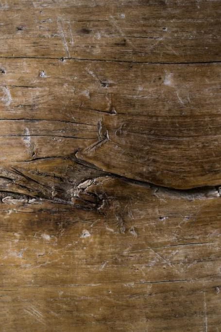 Photo of Others in Martin