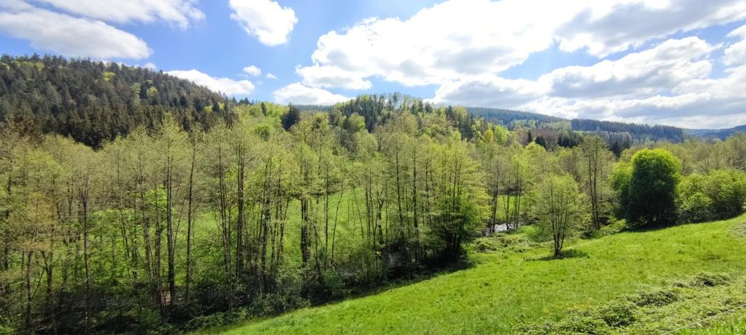 Photo of Others in Saint-Blaise-la-Roche