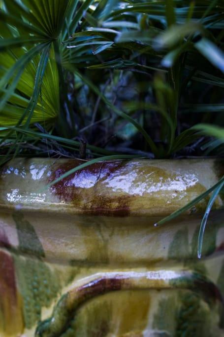 Photo of Others in Martin