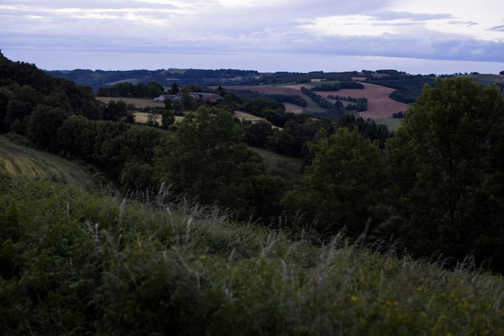 Photo of Others in Martin