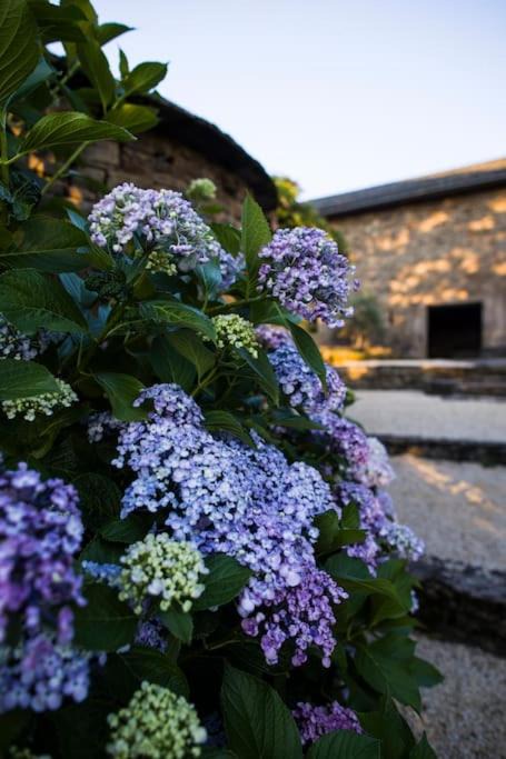 Photo of Others in Martin