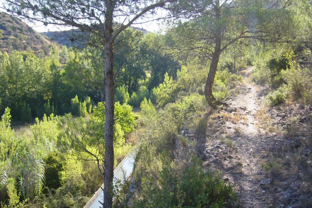 Photo of Outdoor in Mas de las Matas