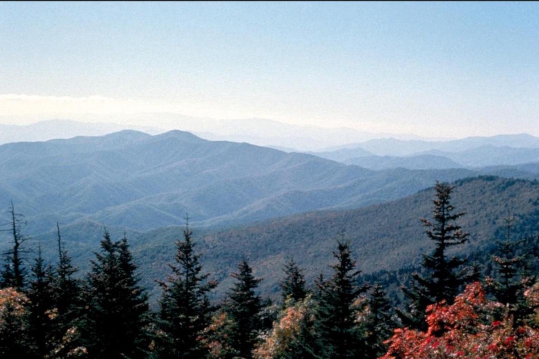 Photo of Others in Dandridge