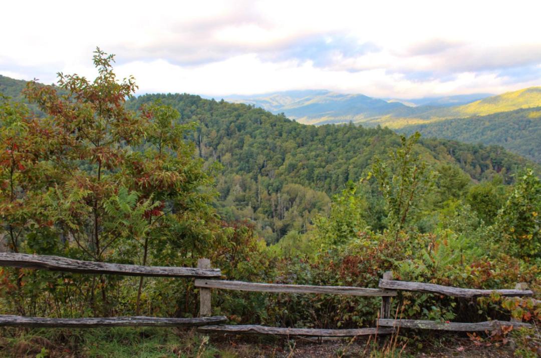 Photo of Others in Dandridge