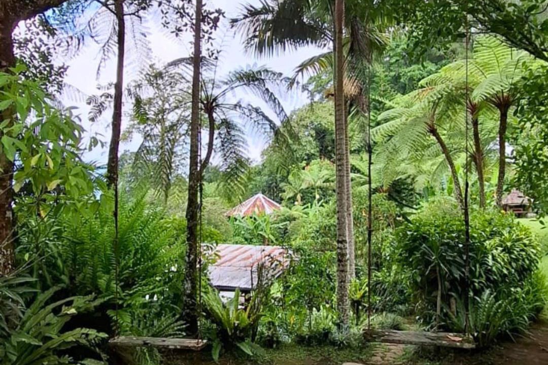 Photo of Others in Candikuning
