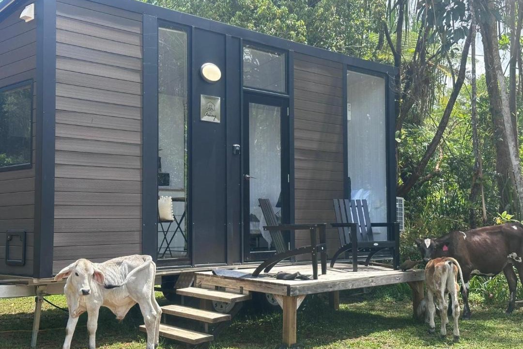 Photo of Others in East Feluga