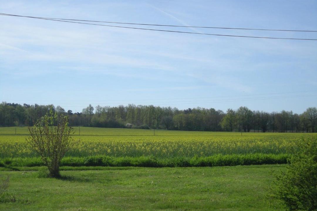 Photo of Others in Semblecay