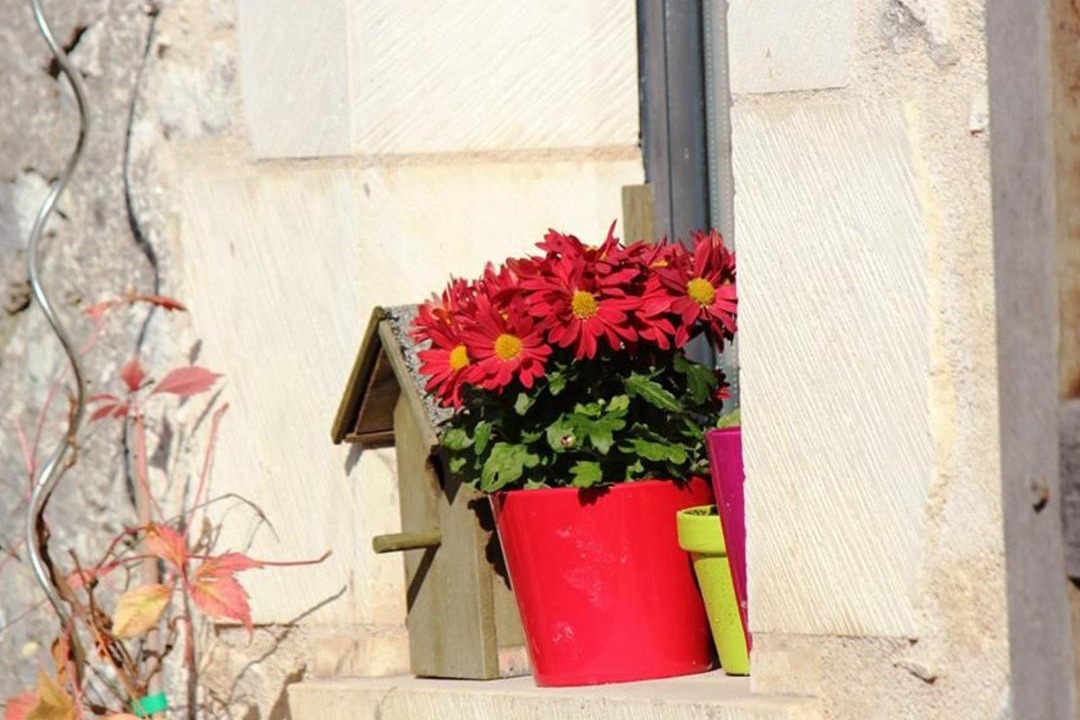 Photo of Others in Pouligny-Saint-Pierre