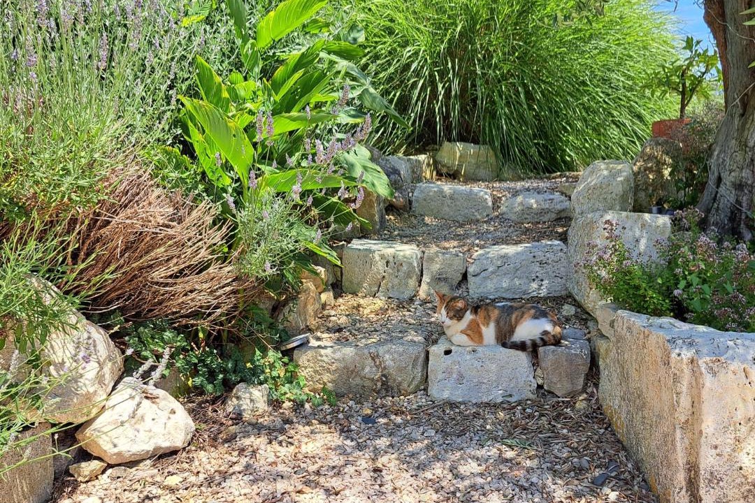 Photo of Others in Castera-Verduzan