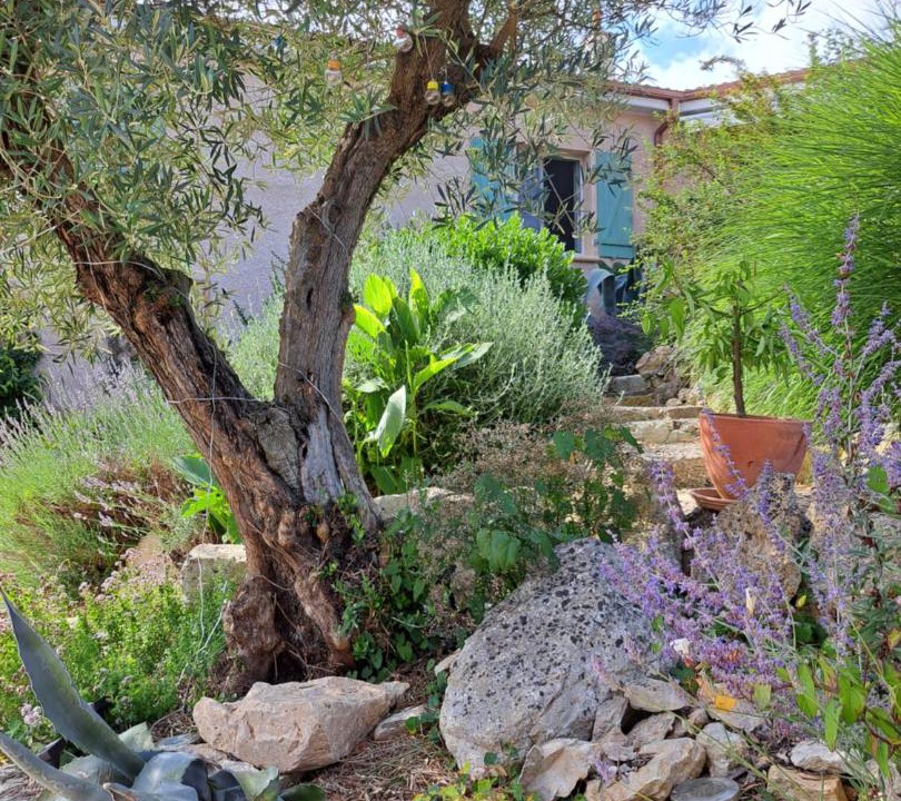 Photo of Others in Castera-Verduzan