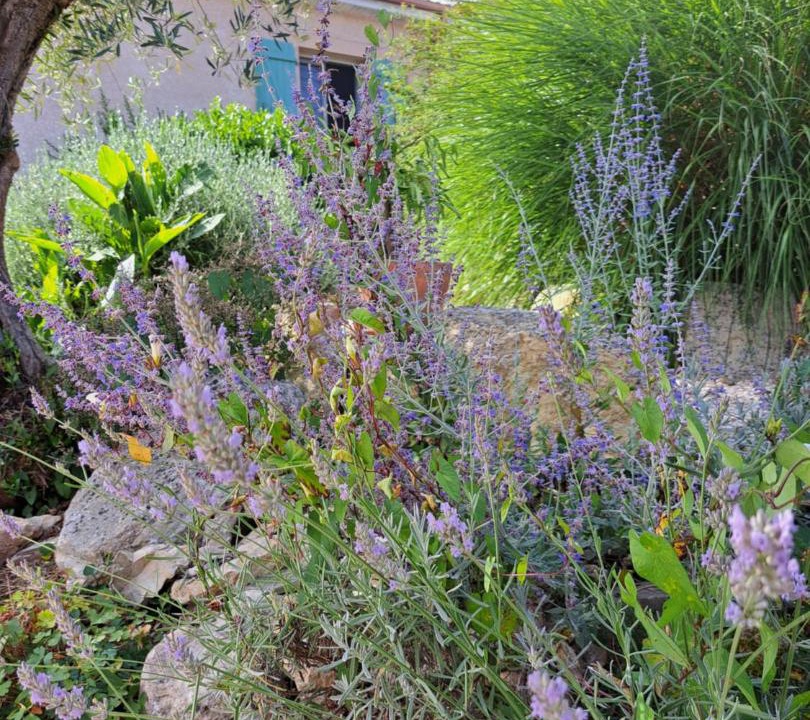 Photo of Others in Castera-Verduzan