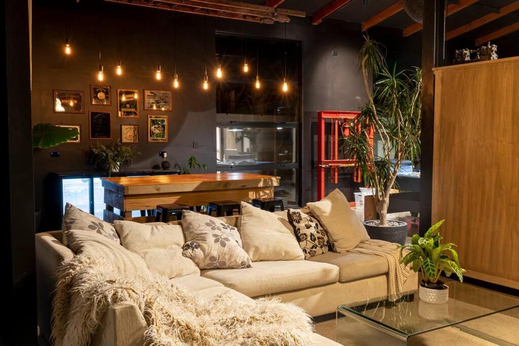 Photo of Livingroom in Kumeu