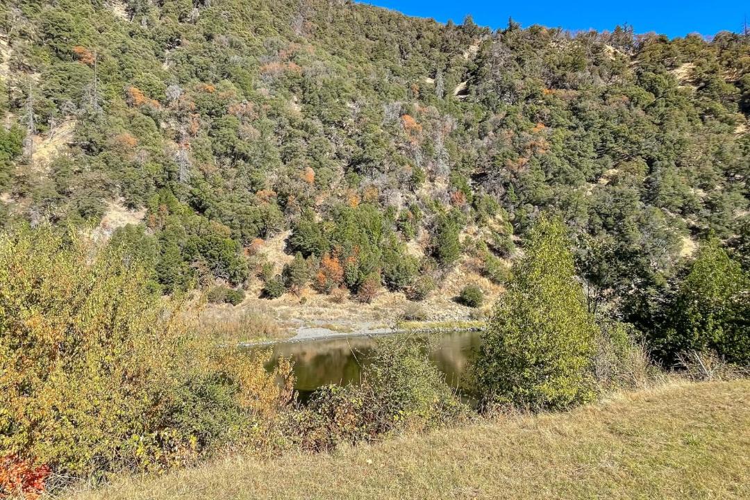 Photo of Others in Willow Creek