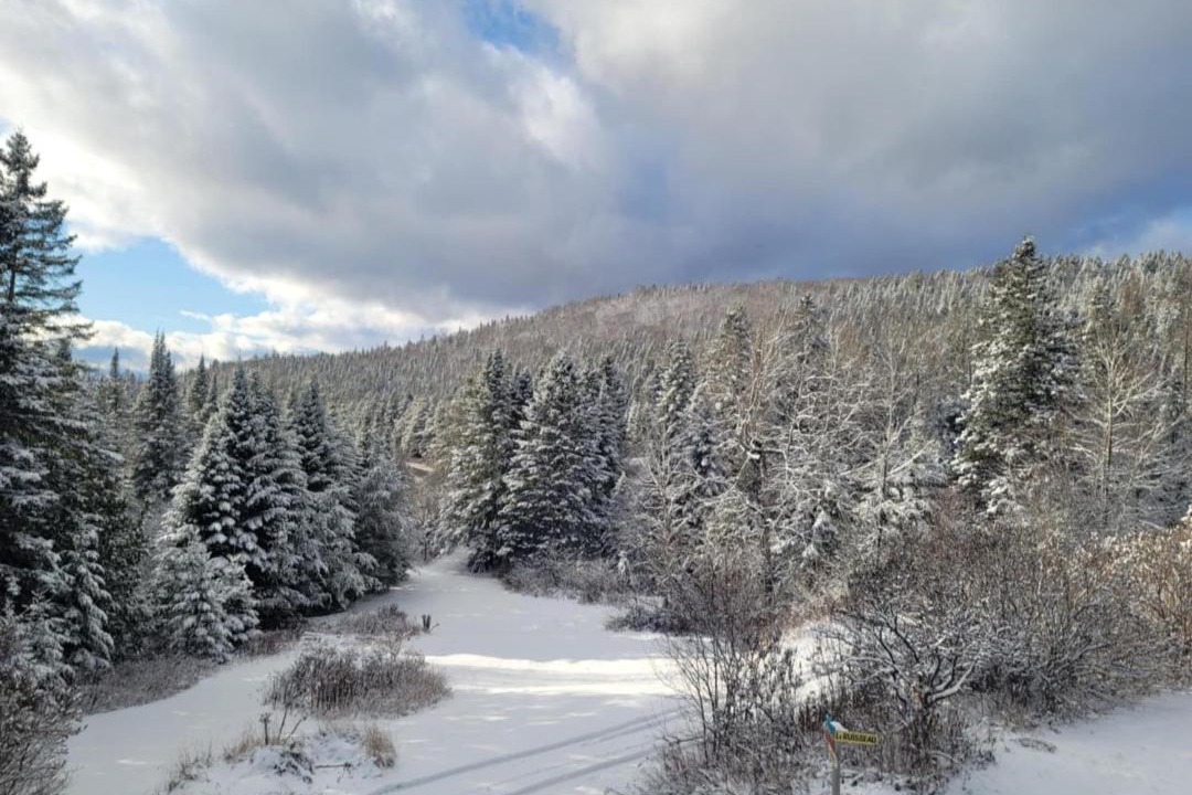 Photo of Others in Saint Donat