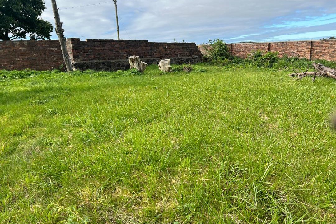 Photo of Others in Longcroft