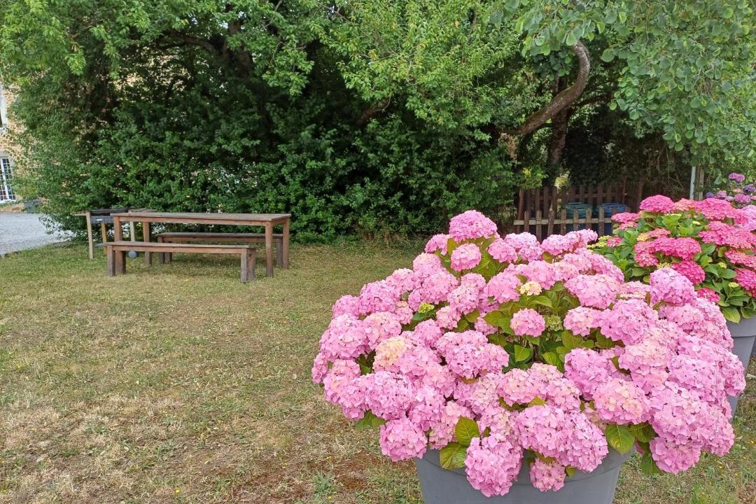 Photo of Others in Ahuille