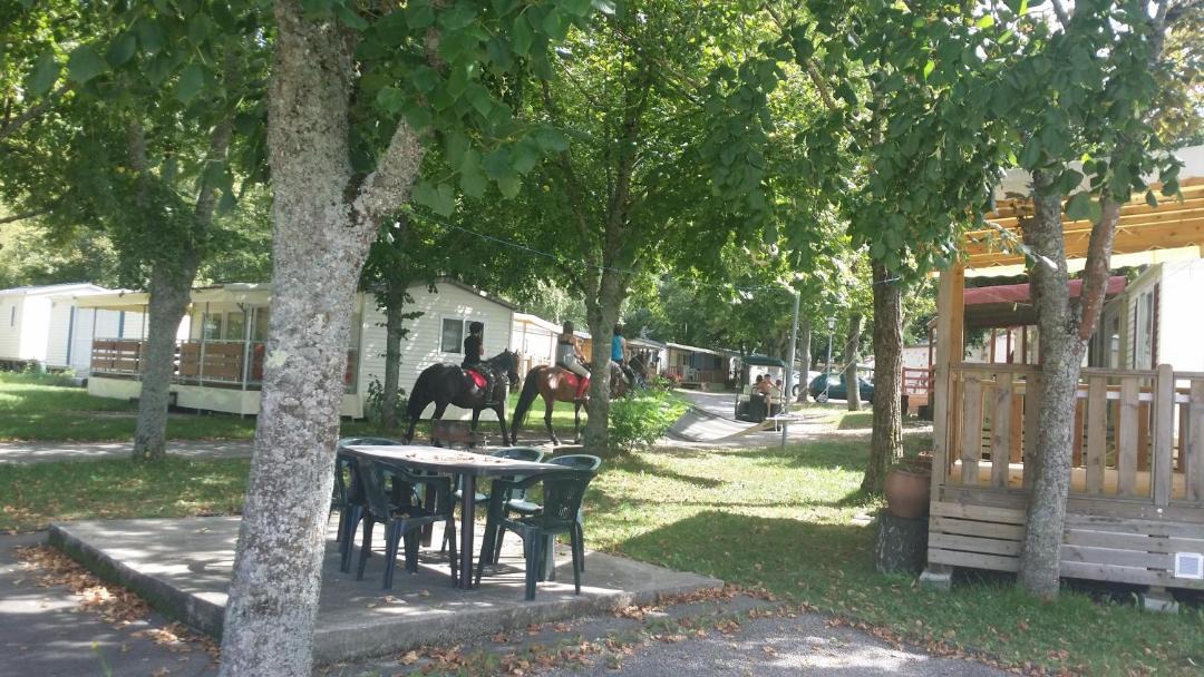 Photo of Others in Lavelanet