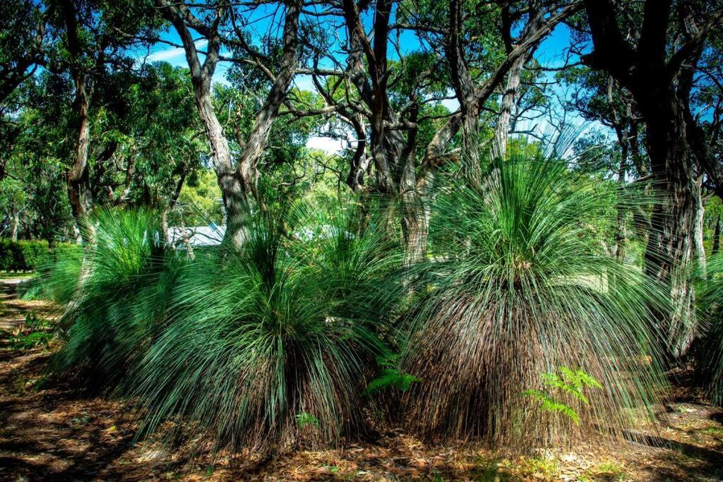 Photo of Outdoor in Boneo