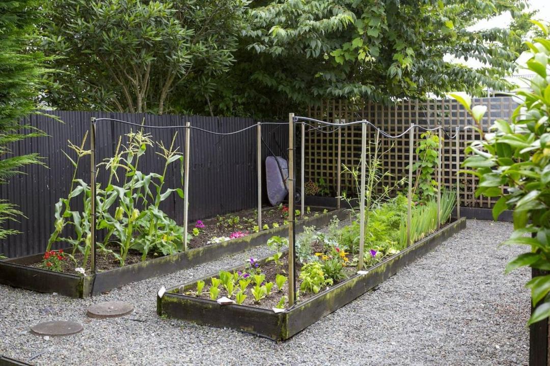 Photo of Others in Taupo