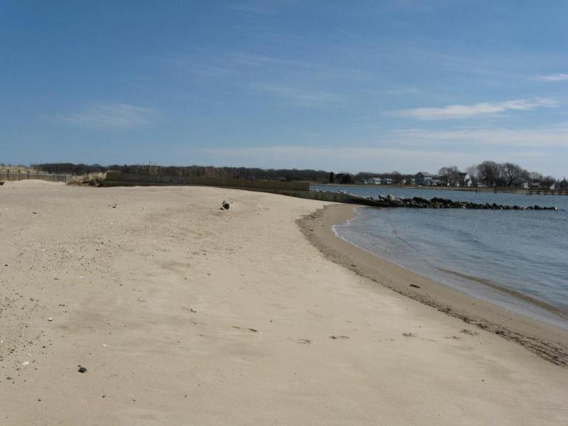 Photo of Others in Saybrook Manor