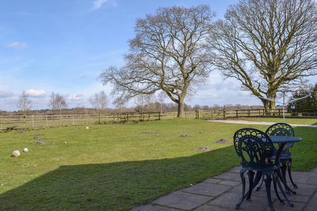 Photo of Others in Tatton Park