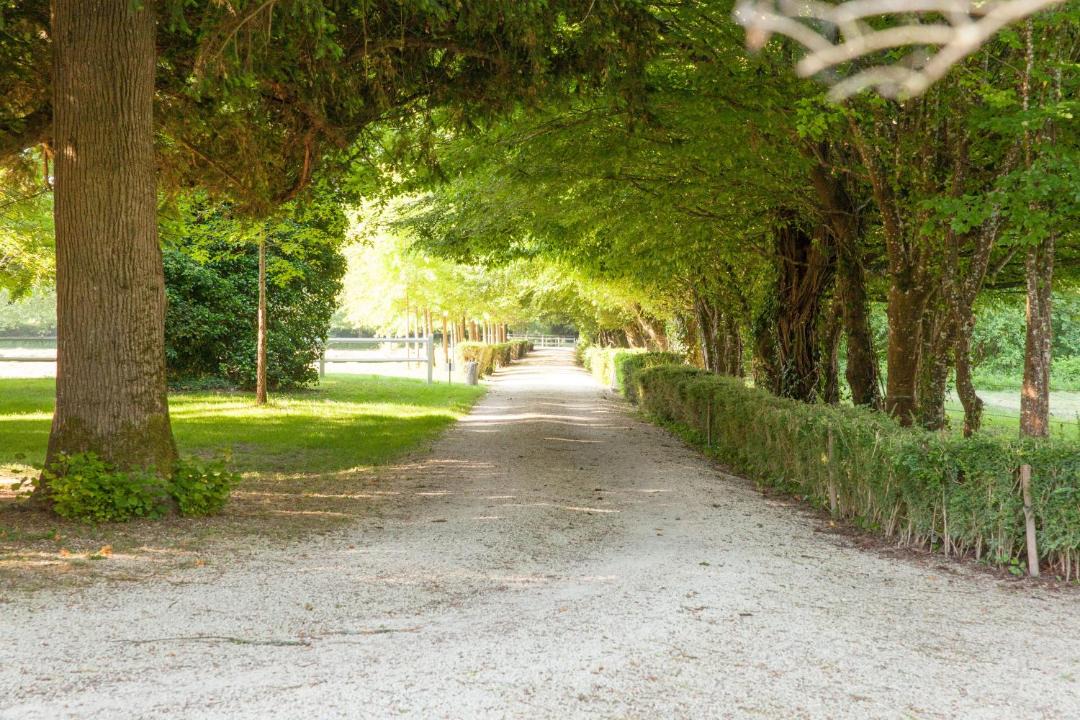 Photo of Others in Saint-Astier