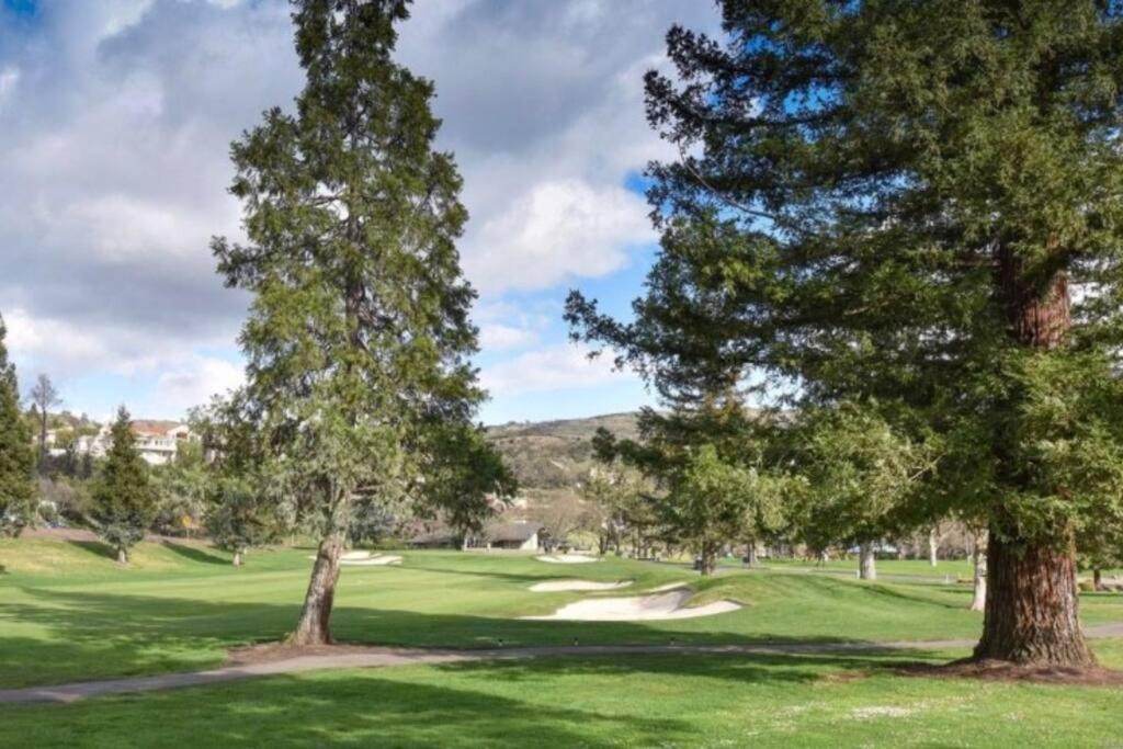 Photo of Others in Napa