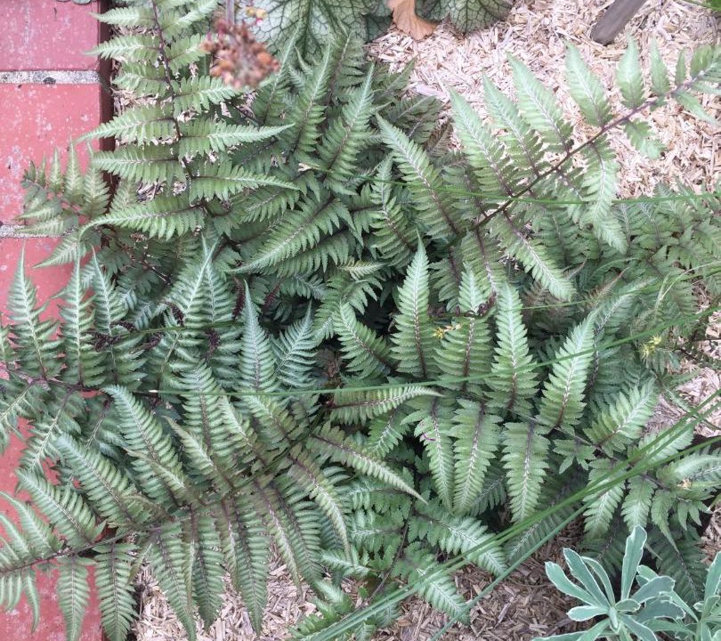 Photo of Outdoor in Beaune-la-Rolande