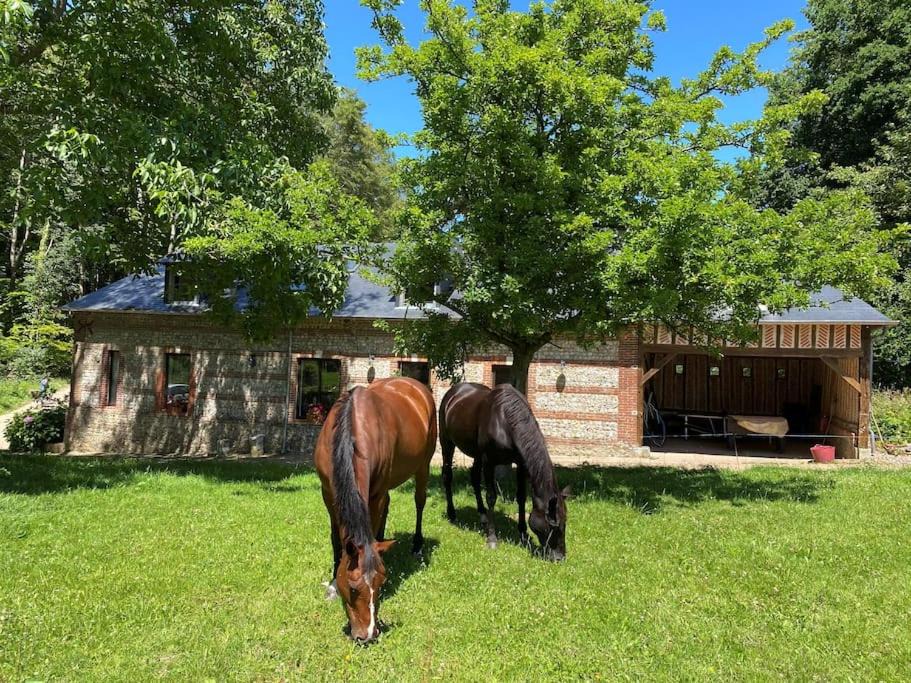 Photo of Others in Ecrainville