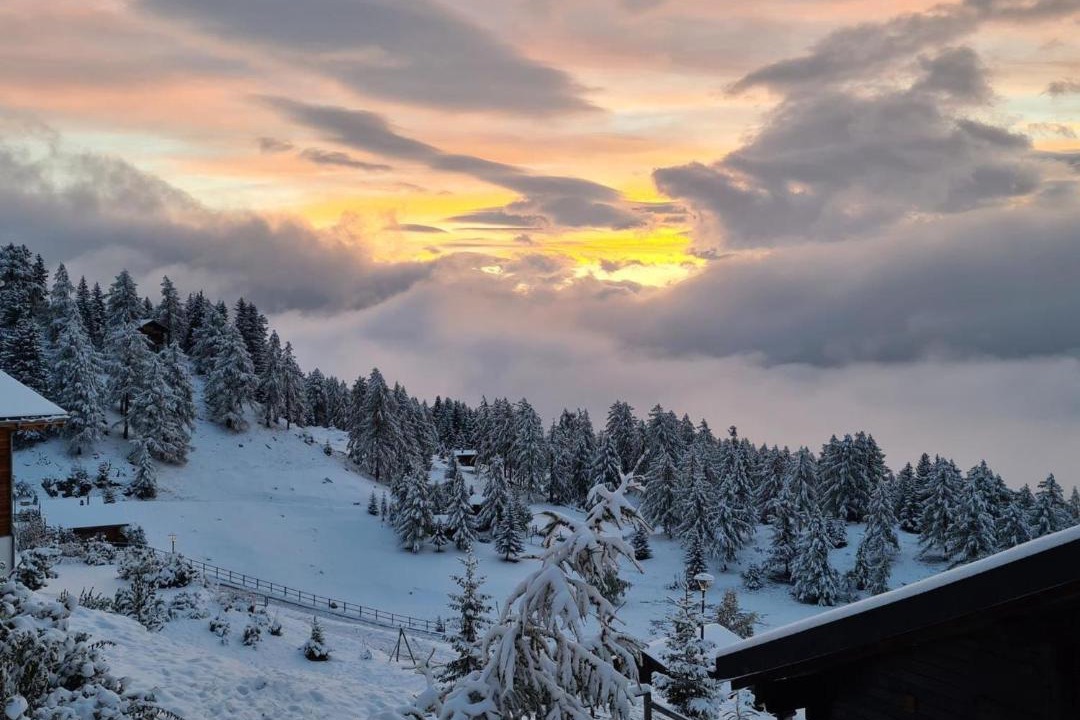 Photo of Others in Riederalp