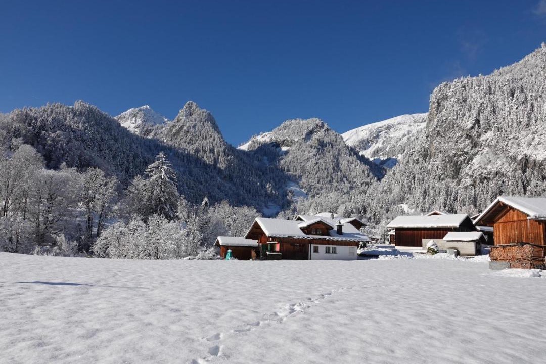 Photo of Others in Boltigen