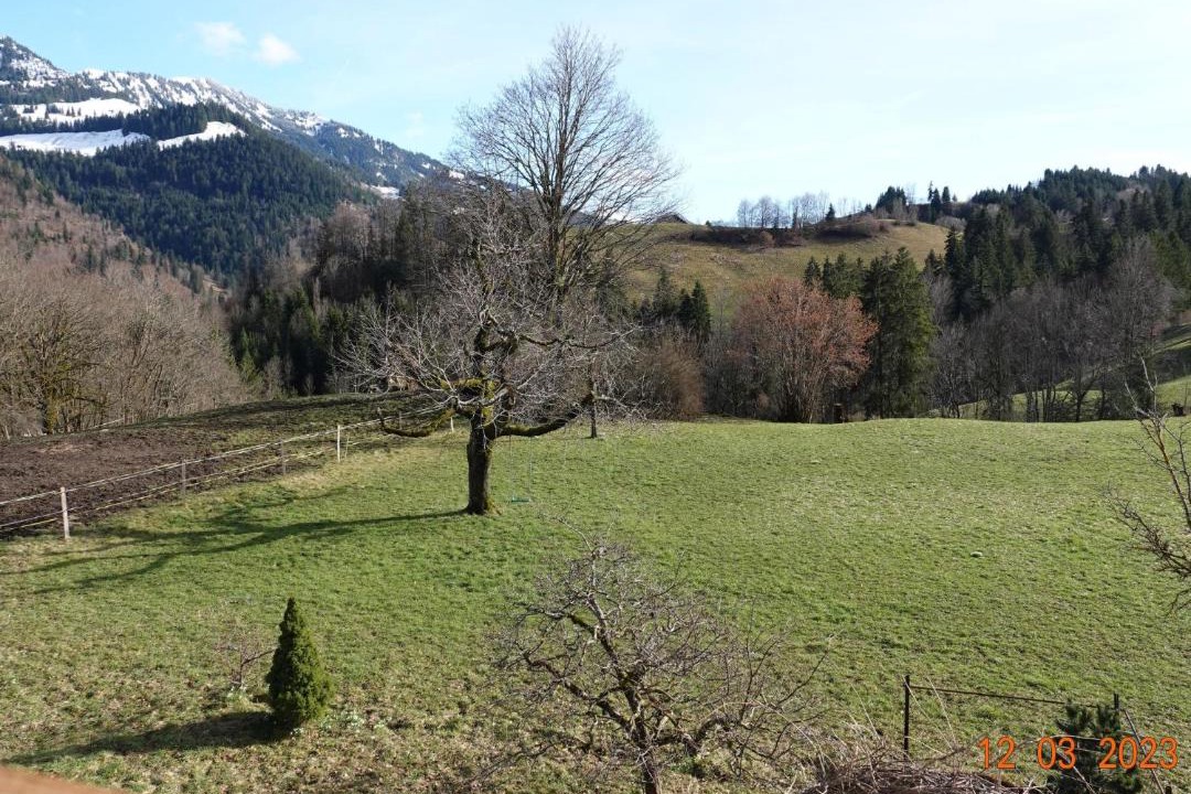 Photo of Others in Boltigen