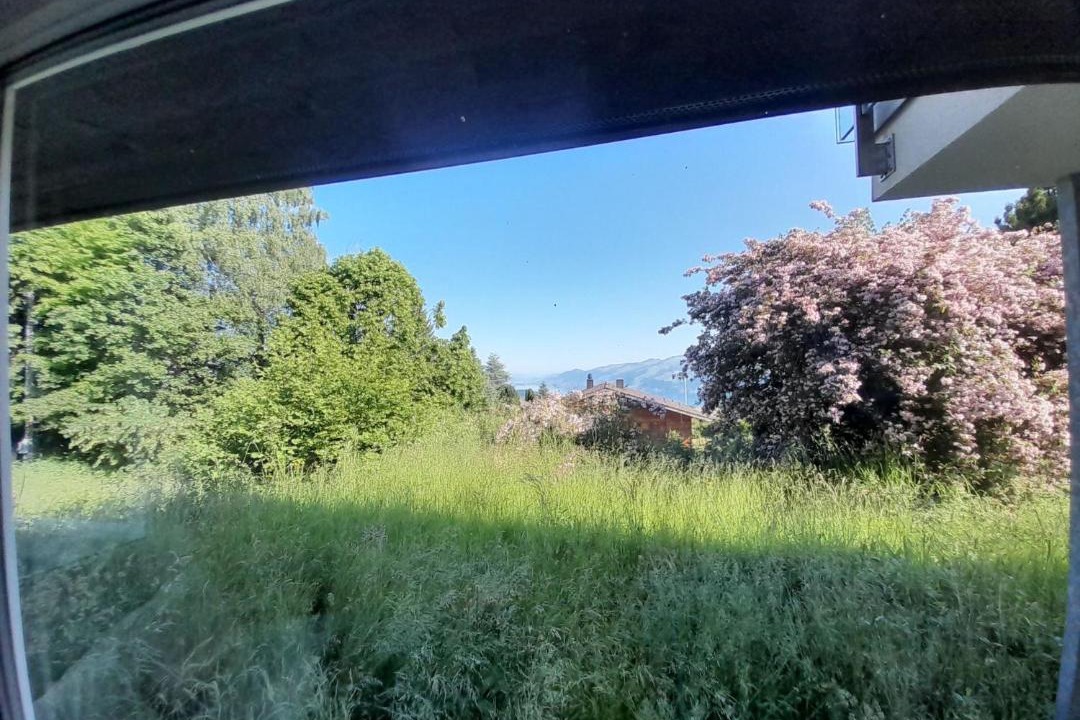 Photo of Others in Aeschi bei Spiez